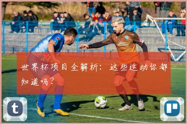 世界杯项目全解析：这些运动你都知道吗？