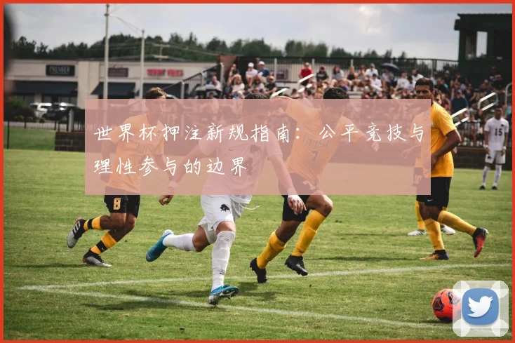 世界杯押注新规指南：公平竞技与理性参与的边界