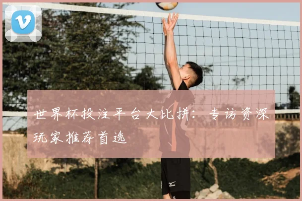 世界杯投注平台大比拼:专访资深玩家推荐首选