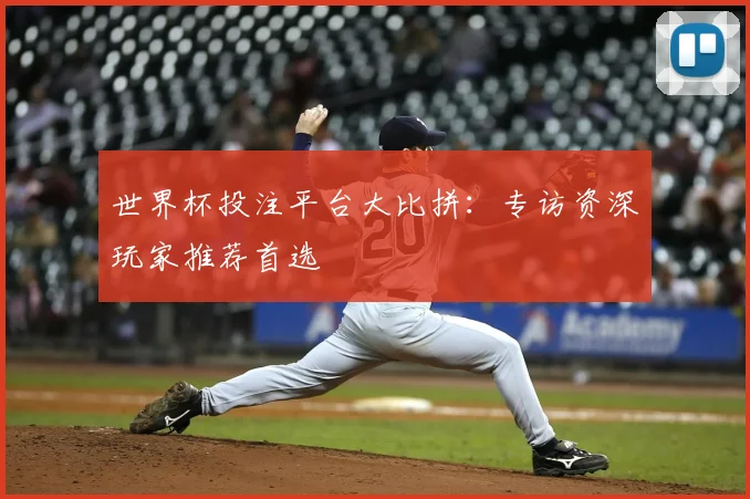 世界杯投注平台大比拼：专访资深玩家推荐首选